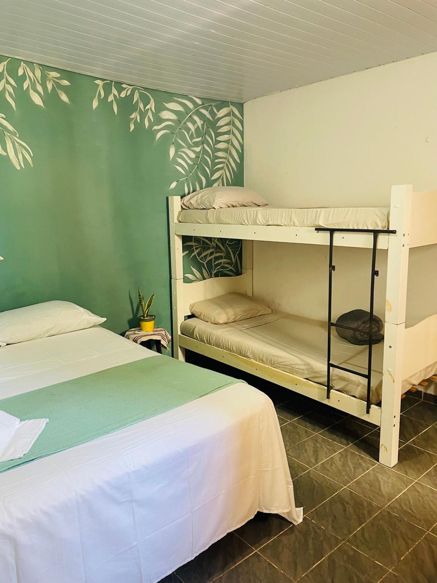 Vista Surf Pipa Hostel Praia de Pipa 外观 照片